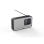 Radio Panasonic RF-D15 Portátil DAB+ FM Bluetooth LCD Control Giratorio Negro/Plata