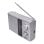 Radio portátil Noveen PR451 Plata FM MW SO AC/Batería Altavoz Giratorio Externo