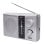 Radio portátil Noveen PR451 Plata FM MW SO AC/Batería Altavoz Giratorio Externo