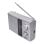 Radio portátil Noveen PR451 Plata FM MW SO AC/Batería Altavoz Giratorio Externo