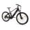 Patinete eléctrico 250W Autonomía 120 km Ruedas 29" Frenos disco Doble suspensión Negro