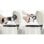 Aspiradora sin cable Bosch Serie 6 BCS611P4A 18V Filtro higienico Autonomia 30 min