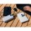 Power bank Tracer Blaze 30000 mAh Quick Charge 3.0 65 W Blanco