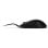Ratón Endgame Gear XM2 8k V2 Cable 30000DPI Negro Ultraligero Claw Grip 8000Hz