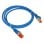 Câble réseau AVIZIO KKS6NIE0.5 Cat6 0,5 m F/UTP RJ-45 bleu