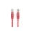 Câble réseau Lanberg PCU6-20CC-0050-R Cat6 0,5 m U/UTP RJ-45 Rouge