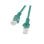 Cabo de rede Lanberg PCU5-20CC-0050-G Cat5e U/UTP 0,5 m Verde RJ-45 macho-macho
