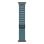 Correia Apple MG9L4ZM/A Azul Loop Alpine Titânio Tamanho M para Watch 44-49 mm