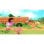 DORA Rescate en el Bosque Tropical SWITCH