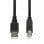 Cavo USB iBox IKU2D 3 m USB 2.0 A-B Nero