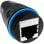 Adattatore di rete Techly IWP-MD C6-IP68T RJ-45 Doppio Femmina Nero IP68