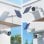 Telecamera IP Reolink Argus Series B340 2K Visione Notturna Interni Esterni IA Audio Bidirezionale Controllo Vocale