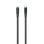 Câble Havit 6939119087401 Lightning USB C 1 m Noir Power Delivery 27W