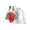 Hachoir électrique Bosch MFW2515W Blanc 350 W Disque 8 mm 1,7 kg/min