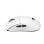 Maus Havit StarBlaze-2 RF Wireless Bluetooth USB-C Weiß 6 Tasten 300mAh Gaming