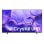 TV Samsung LED U8000F 43" 4K Smart TV HDR WiFi AirPlay