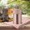 Bollitore Maestro MR-1636 0.8L Oro Acciaio Inox Manico Trasporto