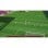 Football Manager 26 PS5