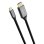 Convertisseur Trust Calyx 25630 USB-C vers HDMI 2 m 4K Noir Argent