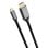 Convertisseur Trust Calyx 25630 USB-C vers HDMI 2 m 4K Noir Argent