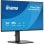 Monitor iiyama ProLite XB2496HSC-B1 24" FullHD 144Hz IPS USB-C Höhenverstellbar 3ms