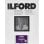 Papier Ilford Multigrade V RC Deluxe 44M Perlé 24x30,5 cm 50 feuilles