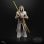 Spielfigur Hasbro Star Wars The Black Series Jedi Temple Guard Multicolor