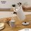 Briebe SKT1167WHT broodrooster 2 brede sleuven 870 W 6 standen, waterkoker 1,7 L, wit
