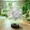 Robot Aspirapolvere iRobot Roomba Max 705 Vac Autosvuotamento Navigazione LiDAR 13.000 Pa