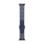 Cinturino Apple MGAV4ZM/A Nike Sport Blue Ribbon S/M 130-180 mm