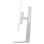 Monitor Lenovo L24D-4C 23,8" FullHD 144Hz IPS USB-C Speakers Hoogte verstelbaar