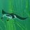 Abzu PS4
