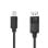 Cavo DisplayPort Nedis CCGL37400BK20 2 m Nero 4K Mini DP-Maschile a DP-Maschile
