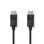 Cabo DisplayPort NEDIS CCGL37010BK20 2m Macho-Macho Preto 1.2 Ultra HD