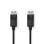 Cavo DisplayPort Nedis CCGL37010BK30 3 m 4K 1.2 PVC Nero