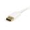 Cable DisplayPort Startech MDP2DPMM1MW Mini DisplayPort a DisplayPort 4K 1 m Blanco