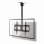 Soporte para TV Nedis TVCM1350BK techo ajustable 42-65" rotación 180° negro