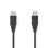 Câble USB NEDIS CCGL60000BK20 2 m USB-A vers USB-A Noir