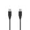 Câble USB NEDIS CCGL60000BK20 2 m USB-A vers USB-A Noir