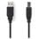 Câble USB NEDIS CCGL60100BK30 3 m USB 2.0 A vers B Male Noir