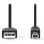 Câble USB NEDIS CCGL60100BK30 3 m USB 2.0 A vers B Male Noir