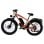 Bicicletta elettrica PVY Max26 250W doppio motore 48V30Ah freni idraulici 26" arancione