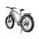 Bicicleta eléctrica DUOTTS F26 Lite Motor 500 W Batería 48 V 18 Ah neumáticos 26" freno hidráulico plata blanco