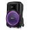Altavoces Fenton Karaoke Inalámbricos Bluetooth 700W con LED y batería portátil