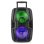 Altavoces Fenton Karaoke Inalámbricos 500W con bluetooth, batería y luces LED