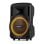 Altavoces Fenton Karaoke Bluetooth 300W con batería y micrófono UHF