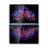 Portátil Lenovo Yoga Book 9 14IAH10 14" Intel Core Ultra 7 255H 32GB 1TB SSD Intel Arc 140T Windows 11 Home