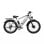 Bicicleta Elétrica DUOTTS F26 1500W Bateria 840Wh 50km Prata-Branco Pneus 26x4.0