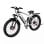 Bicicleta Elétrica DUOTTS F26 1500W Bateria 840Wh 50km Prata-Branco Pneus 26x4.0