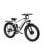 Bicicleta Elétrica DUOTTS F26 1500W Bateria 840Wh 50km Prata-Branco Pneus 26x4.0